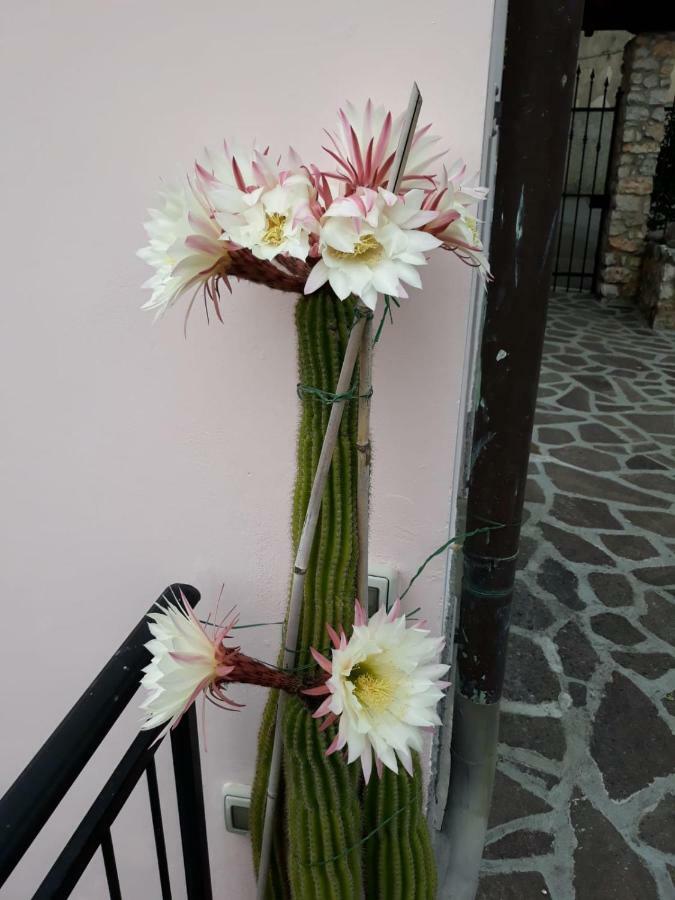 La Villa La Spezia Ngoại thất bức ảnh